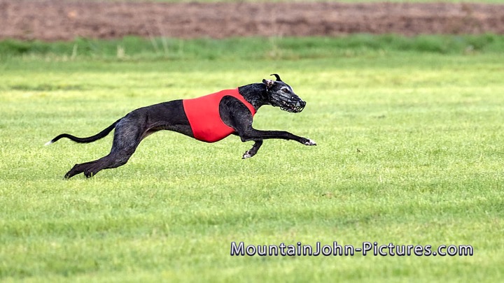 2025-10-19_09-51-30__G__0067_00066