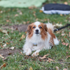181104_0632.jpg