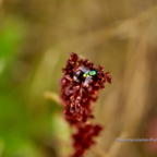 180717_0697.jpg