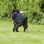 180501_3742.jpg
