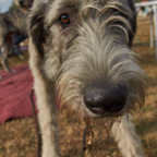 180826_1802.jpg