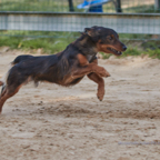 181007_6763.jpg
