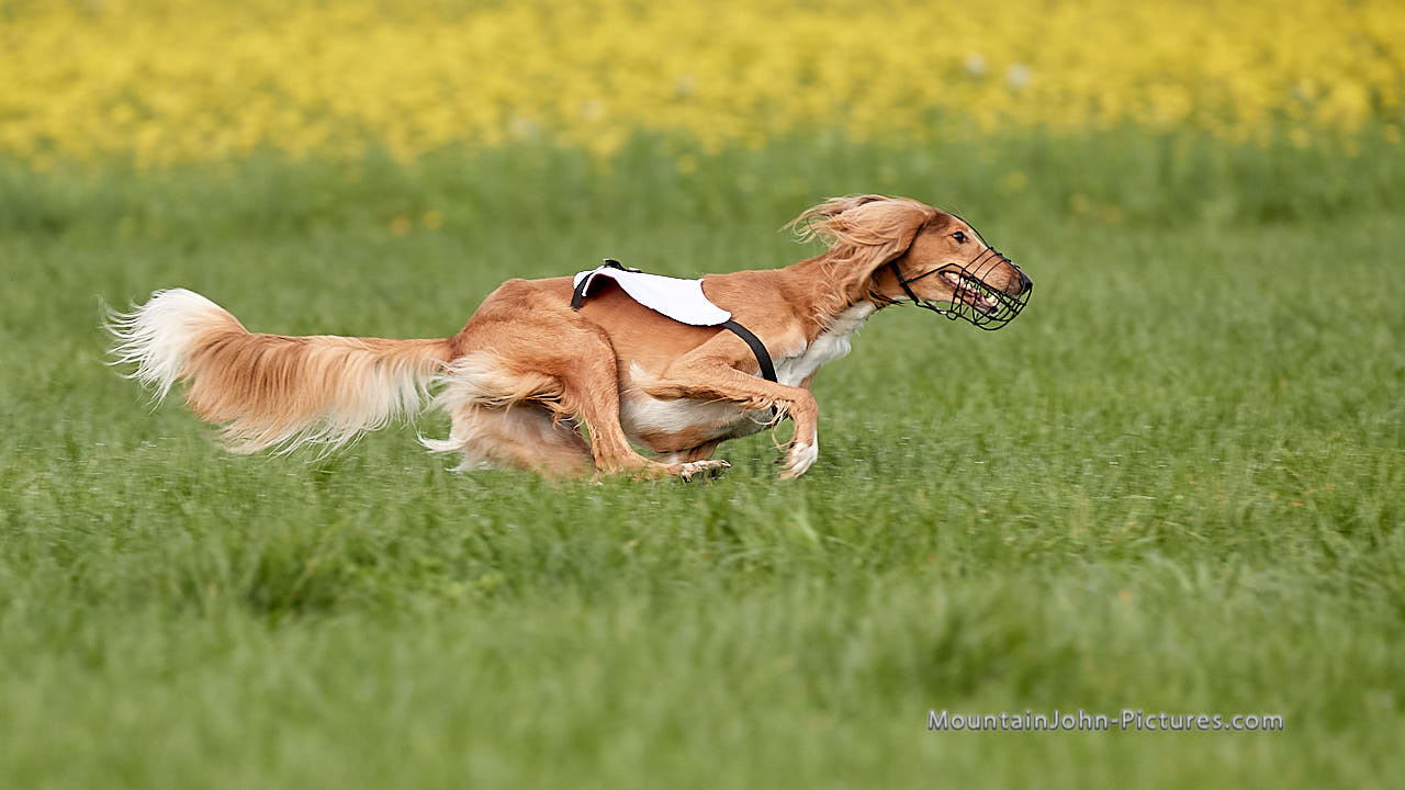 201017_113221_F__1575.jpg