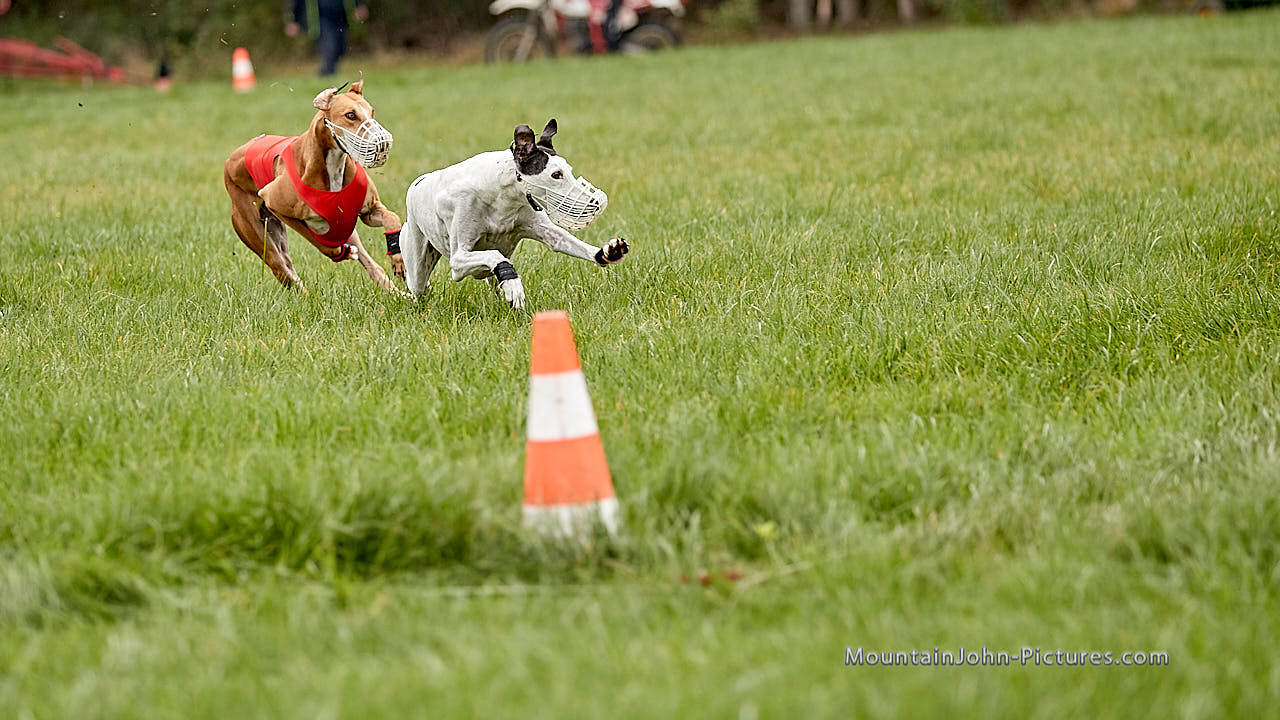 201017_133845_F__1753.jpg