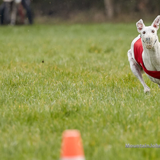 201017_144345_F__2273.jpg