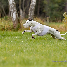 201017_144838_F__2423.jpg