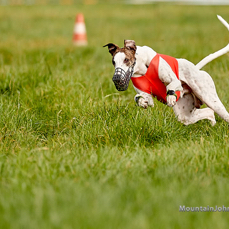 201017_145253_F__2472.jpg