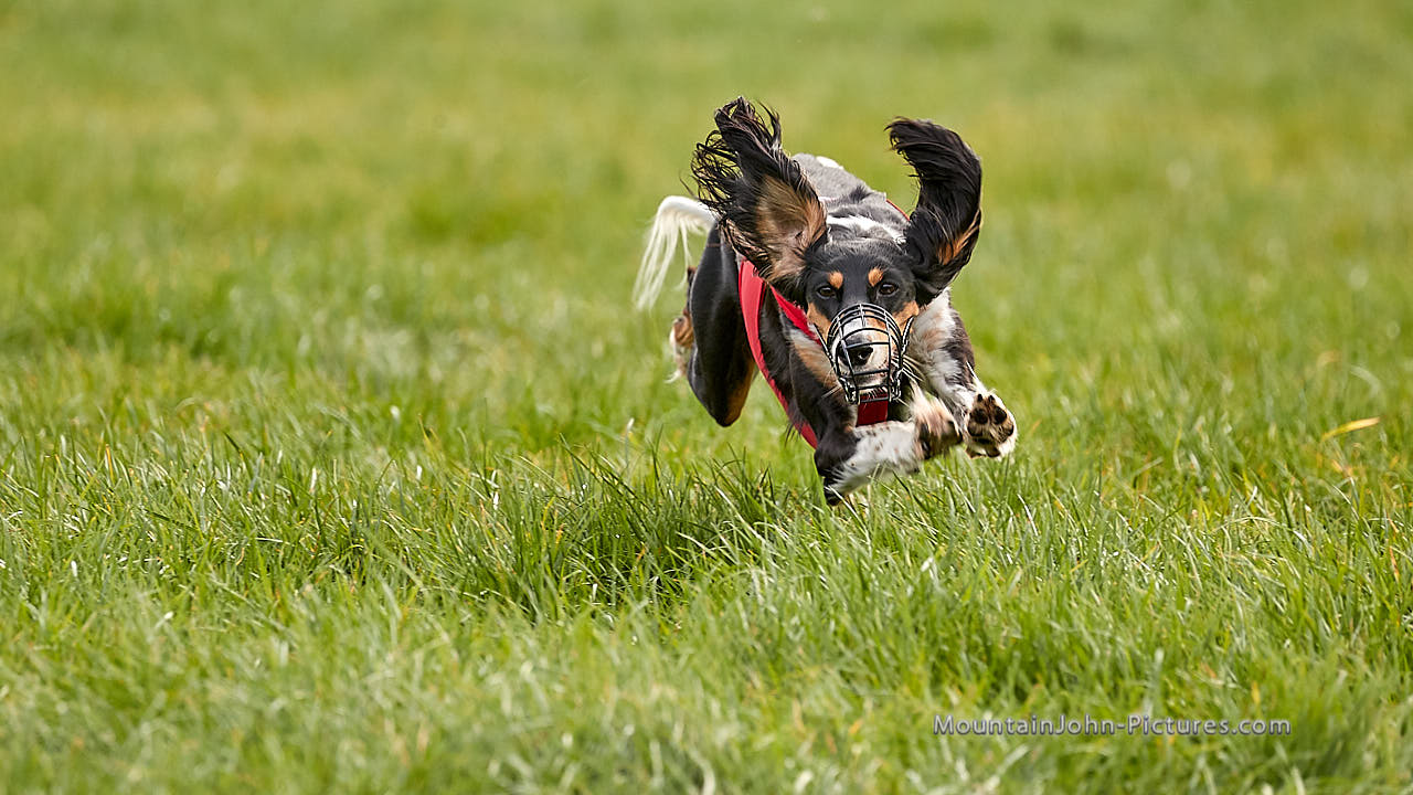 201017_151634_F__2714.jpg