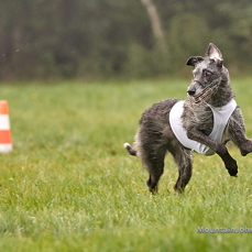 201018_104633_F__1143.jpg