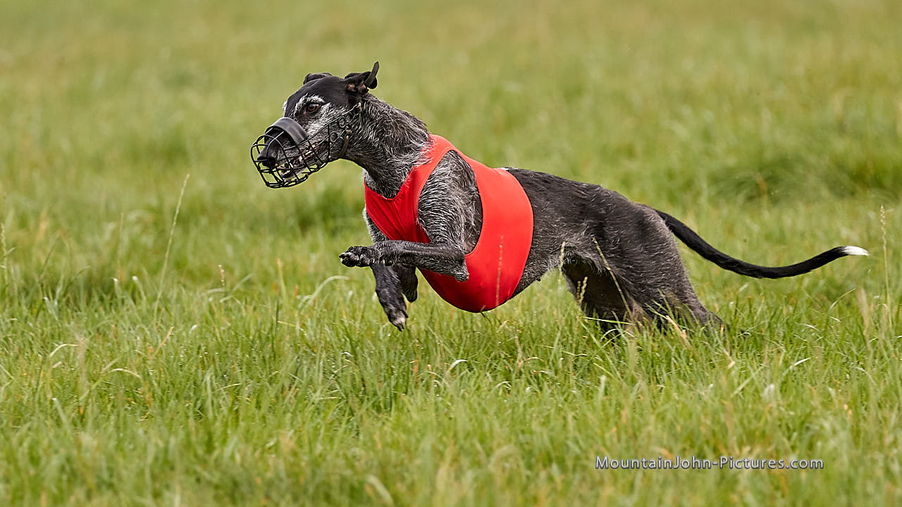 201018_105848_F__1425.jpg