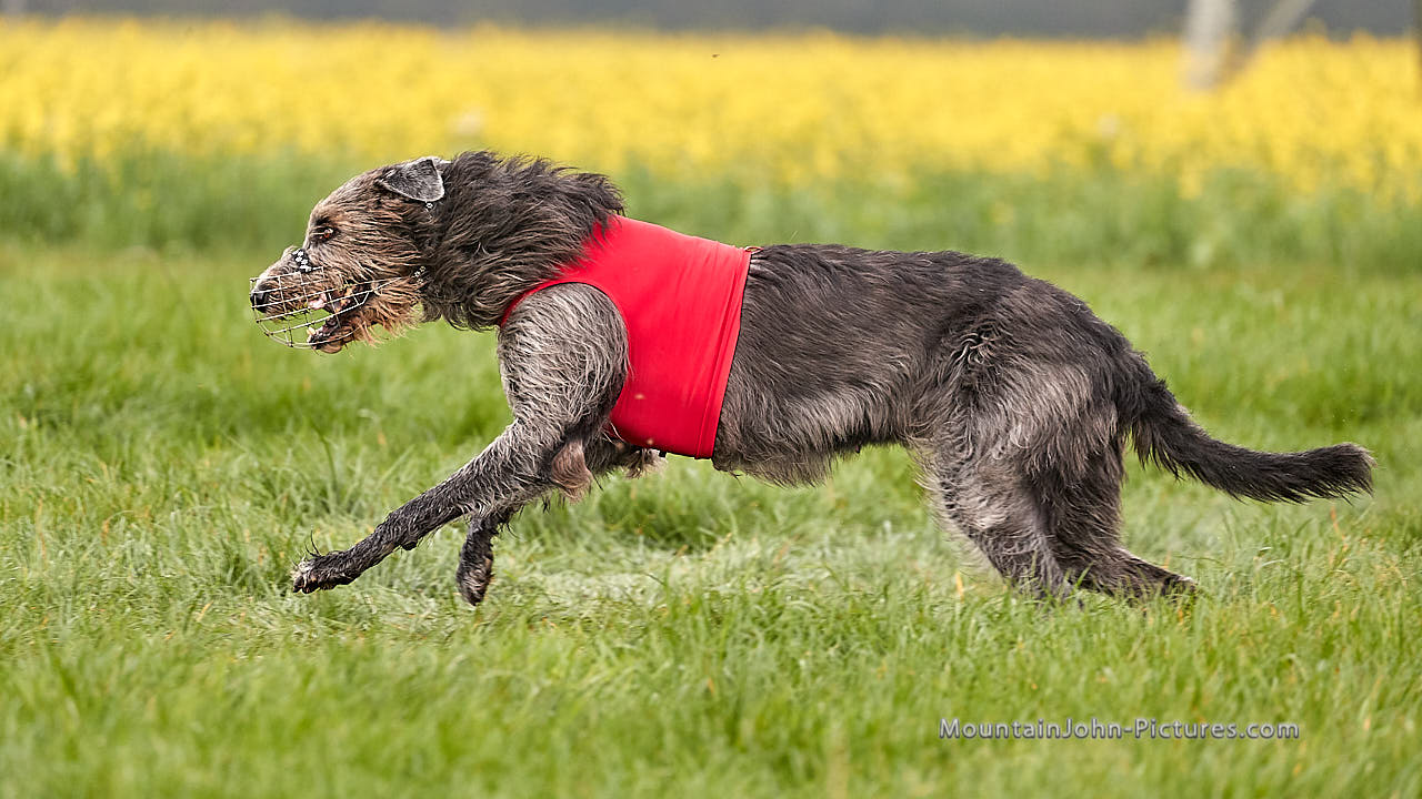 201018_111309_F__1668.jpg