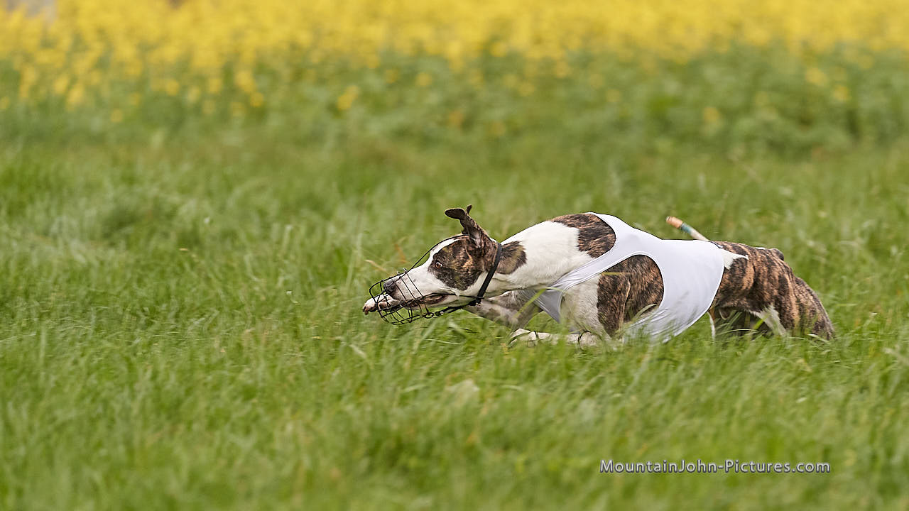 201018_112230_F__1756.jpg
