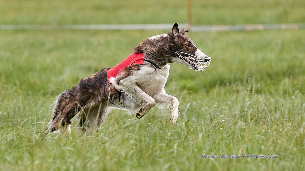 201018_141111_F__3418.jpg