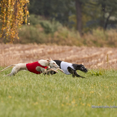 201018_145125_F__3968.jpg
