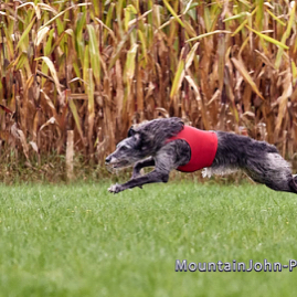 2021-10-02_10-26-09__G__2014.jpg