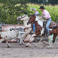 200809_112938_F__1479.jpg